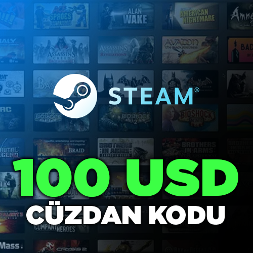 Steam 100 USD